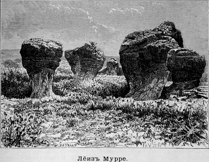 185 Лёиз Мурре